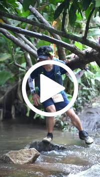 BIB:  <button type="button" onclick="openModal(27808873)" class="btn btn-primary btn-sm float-right" data-toggle="modal" data-target=".modal-high-quality">
                <i class="fa fa-download"></i> Download
                </button>